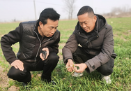 鳳臺(tái)縣新集鎮(zhèn)：鄉(xiāng)村振興正當(dāng)時(shí)，春季田間管理忙