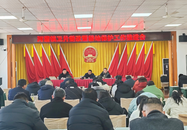 河溜鎮：推進衛片整改 嚴守耕地紅線