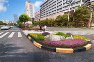 合肥蒙城路沿线绿化恢复工程即将启动