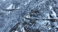 游春山 賞春雪