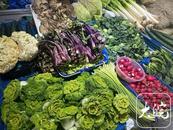 菜籽：蔬菜保卫战