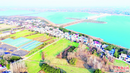 春染沃野 生機勃勃