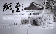 探索紙中藝術  “紙至——王雷藝術作品展”在安徽省美術館啟幕 