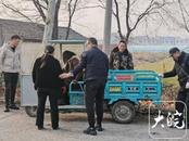 蒙城一公交駕駛員傾力救助側(cè)翻三輪車