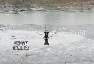 小狗意外掉進冰窟窿 青島園林工人在抄網上綁繩子救援 目擊者：大家都在想辦法救它
