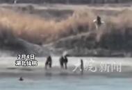 仙桃一男子不慎落水 一旁遛馬男子依立拜策馬救人 年近六旬冬泳隊員上前施救，為他們點贊！

