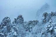 黃山風景區雪景迷人