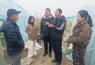 淮南市蘆集鎮：農技助農服務 打好春耕生產“第一仗”