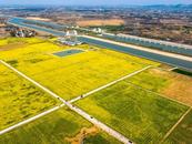 廬江：引江濟淮工程施工臨時用地復墾