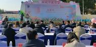 安慶市迎江區長風沙花溪谷開園迎客      