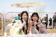 2025年中國·巢湖烔煬第三屆桃花觀賞節開幕