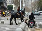 六安街頭現騎馬女青年 引路人圍觀