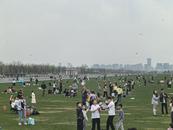 即日起至4月底，合肥骆岗中央公园开放风筝放飞区