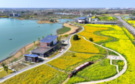 六安：農(nóng)旅融合 一路生花