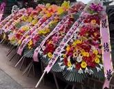 韓國2024年結婚人數(shù)大漲  政府激勵措施見效