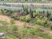 多云到晴為主、氣溫宜人 江淮大地回歸“春天該有的樣子”?