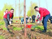 巢湖：種下“同心樹” 開出“團結花”