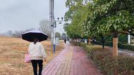 ?安徽4日還有降雪，5日氣溫始回升