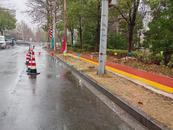 50多名工人冒雨移樹，為六安五里墩大橋拆除重建工程封閉施工做準備