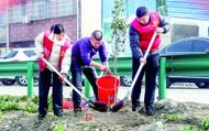 阜陽：植樹添新綠