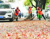 巢湖街頭：全力清掃落葉 守護城市整潔