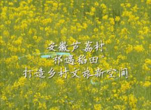 春游江淮请您来
安徽芦荔村“祁遇稻田”打造乡村文旅新空间