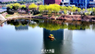 蚌埠市各地：植！綠！