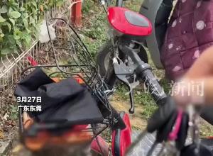 女子下班发现电动车上惊现一个蜂窝 蜂群扎堆聚集 蜂巢目测30厘米宽