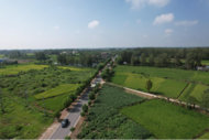道路暢產業旺，小村梅園香漫蓼城大地