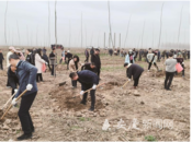 305個村推進“搖錢樹”工程 安慶市設置54處義務植樹點 