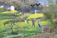 春游江淮請您來｜來大靈山“飛天漫步” 文旅跨界融合帶來熱經(jīng)濟(jì)