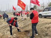 懷寧縣石牌鎮(zhèn)：營(yíng)造綠色環(huán)境 退役軍人志愿者義務(wù)植樹(shù)