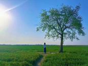 李家林：皖北人说“光棍”