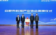 合肥市数据产业协会正式成立