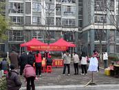 城南鎮樊通橋社區開展“雷鋒精神傳薪火，義務行動暖人心”志愿服務活動
