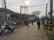 宜秀區楊橋鎮倉房社區：黨員帶頭除雜草，社區環境煥新貌