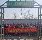 燕山鄉：退休職工采摘樂，赤松茸香滿園情 