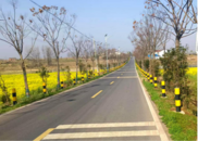 擂臺賽繪就農村公路養(yǎng)護新圖景