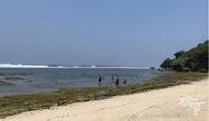 69歲中國男子在巴厘島被海浪沖走！至今下落不明
