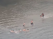 六安月亮島上有人落水  十幾歲的他們手拉手在淠河架起生命之橋