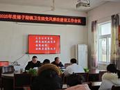 桐城市嬉子湖鎮衛生院召開年初暨黨風廉政建設工作會議