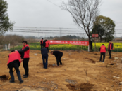 懷寧縣黃墩鎮人大：植此青綠潤民生 共繪生態新畫卷  