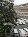 阜陽啟動低溫雨雪冰凍災害IV級應急響應