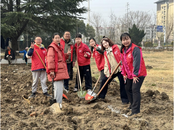 南湖社區：植綠護苗，共筑生態家園