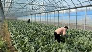 政府工作報告丨2024年國內生產總值達到134.9萬億元 增長5%