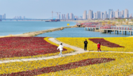 蚌埠：花開靚淮河