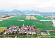 巢湖銀屏：春雨潤(rùn)綠