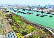 安徽巢湖：航道暢 貨運忙