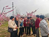 ?春游江淮|春看花、夏采果，臨泉縣老園藝場煥發新活力
