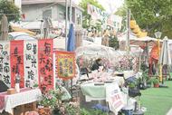 巢湖市中廟街道：湖畔茶香漫 鄉村煥新顏